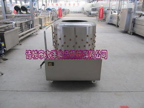 汗渍乌鸡报价及机械设备厂家概述