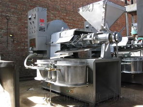 全自动榨油机 从原料到黄金绿色食用油的科技之旅